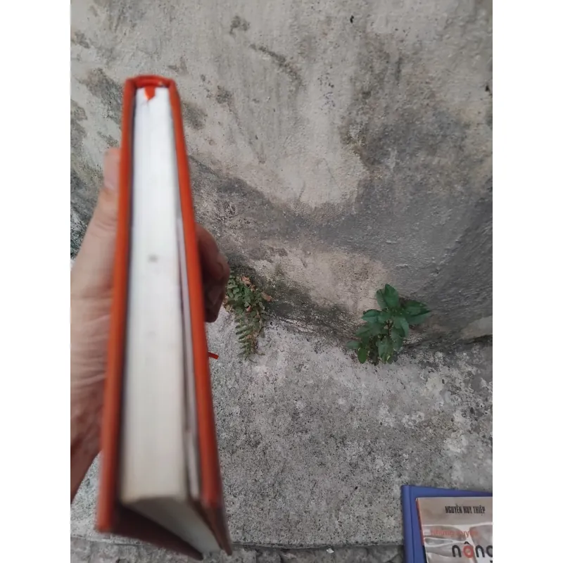 Phép tính của một nho sỹ của Trần Vũ  1004687