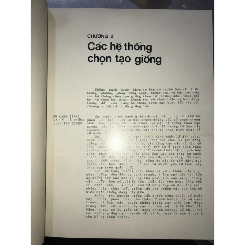 Cải tiến giống lúa  606080