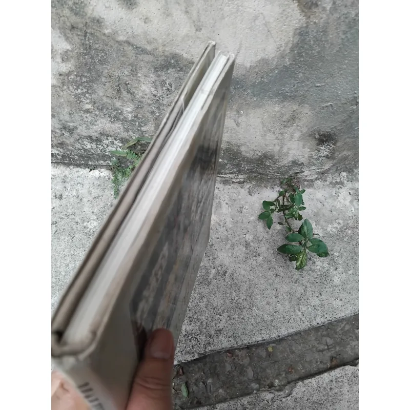 Vựng tập mỹ thuật Bùi Mai Hiên, Đào Anh Khánh  1028214