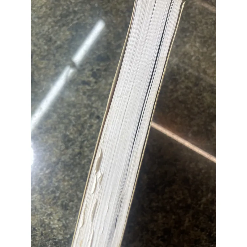 The glass palace Amitav Ghosh 674041