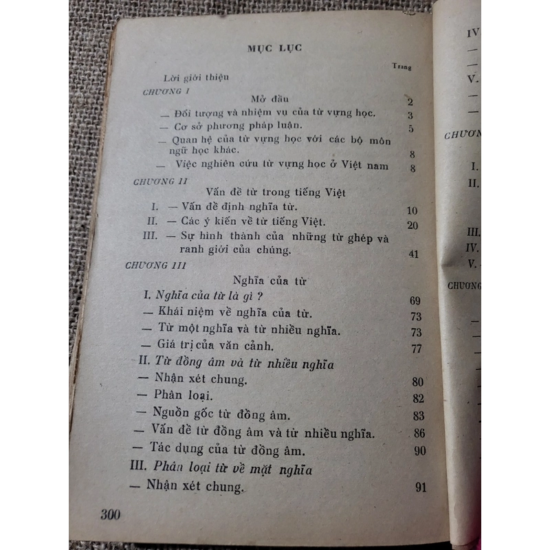 Từ vựng trong tiếng Việt hiện đại _  352713
