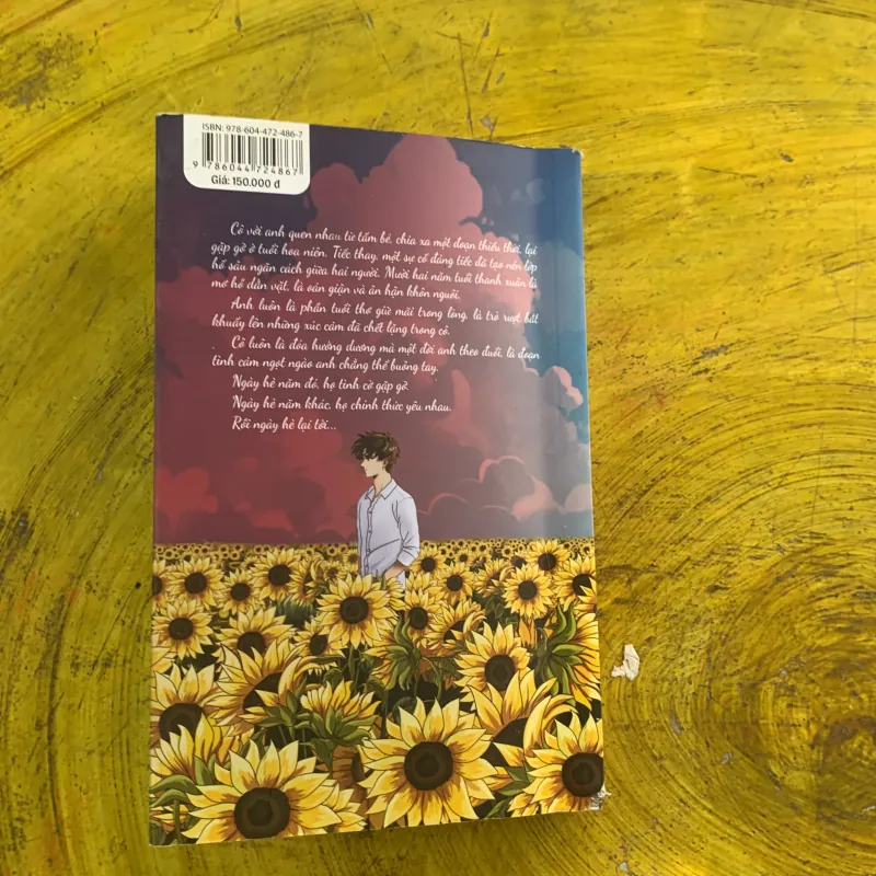 HƯỚNG DƯƠNG NGÀY HÈ - NẤM HƯƠNG 1003964