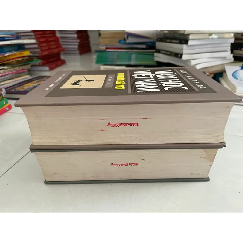 Văn Học Việt Nam (2 tập) 557299