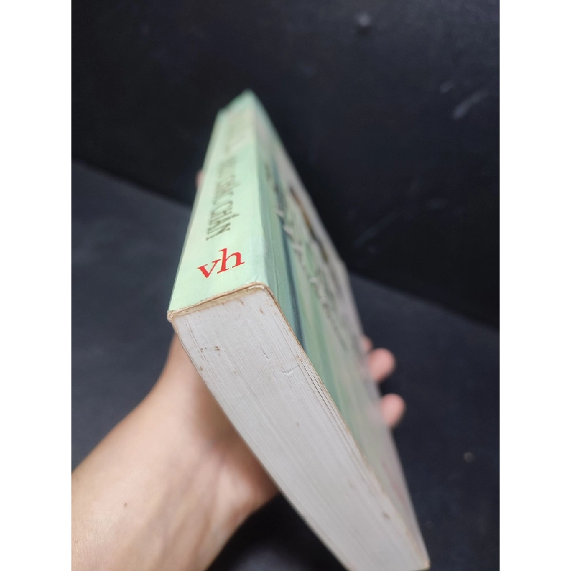[59K/kg] Điều chắc chắn 2008 Madeleine Jhien mới 85% ố nhẹ, bung gáy (văn học) HCM2701 364880