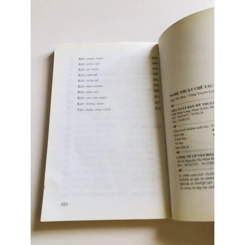 NGHỆ THUẬT CHẾ TÁC CHẬU CẢNH 698194