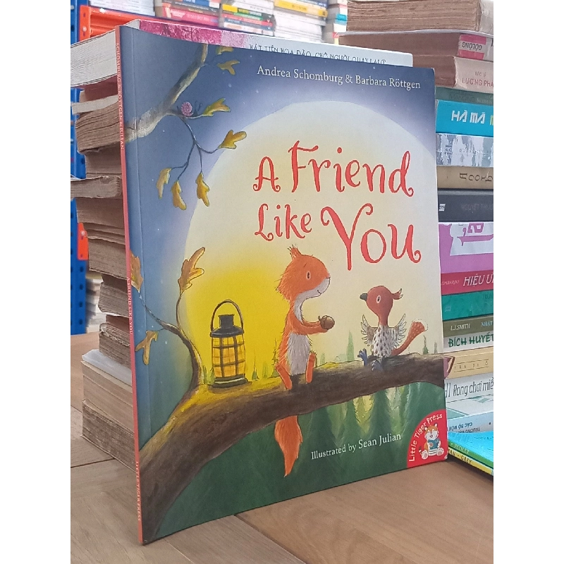 A friend like you - Andrea Schomburg, Barbara Rottgen - Little Tiger Press 994563