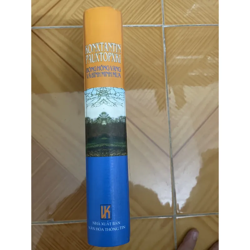 Bông hồng vàng và Bình minh mưa 1010894