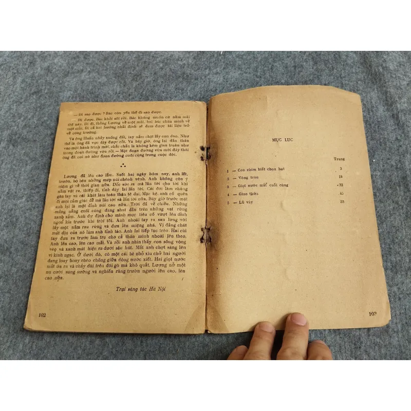 CON CHIM BIẾT CHỌN HẠT 606587