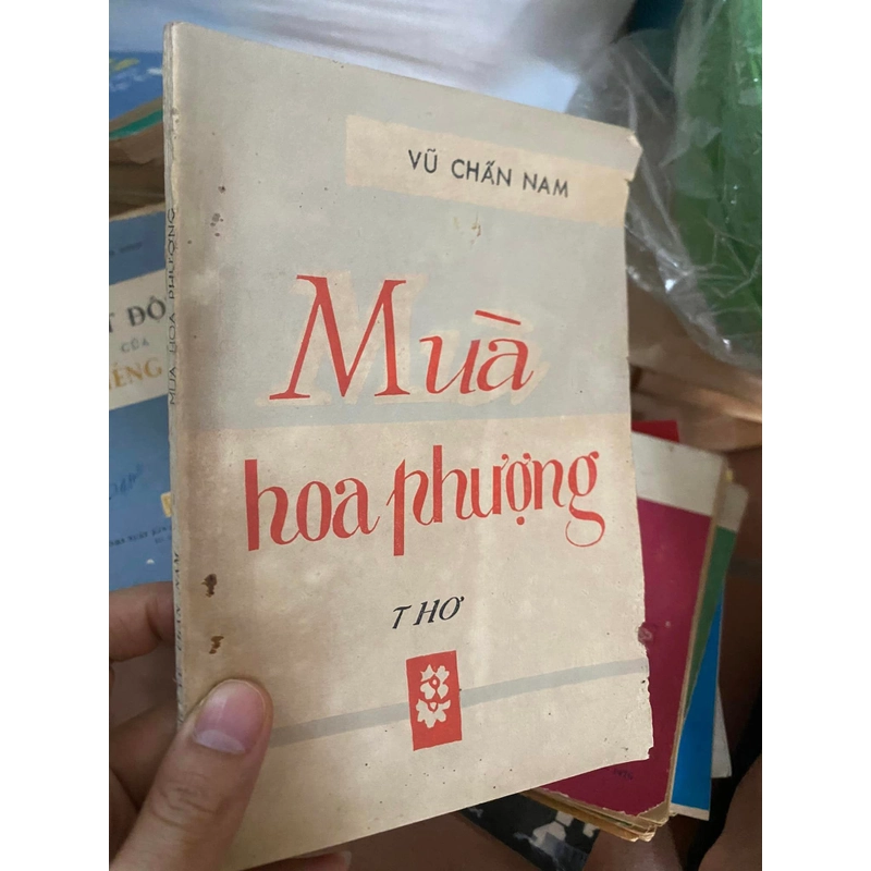 Thơ Mùa hoa phượng 313498