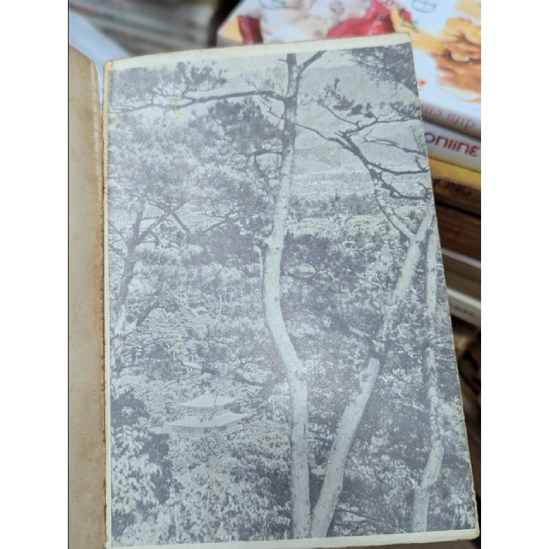 Kim Các Tự - Yukio Mishima (bản trước 75) 224741