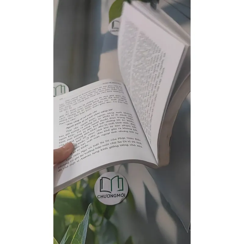 Luận Về Nhân Quả - Chân Quang 928517