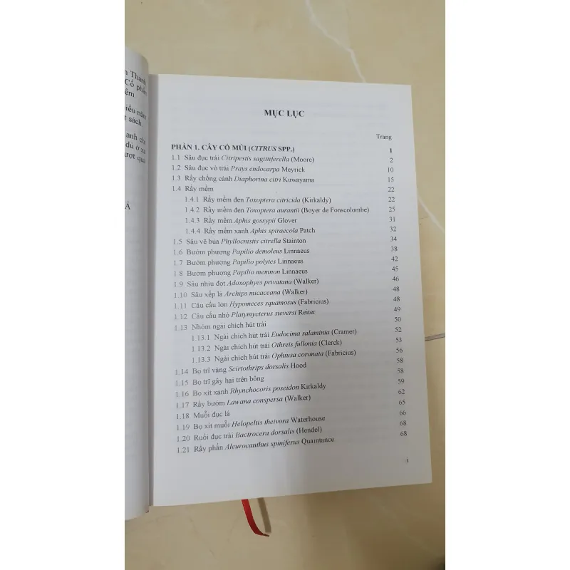 CÔN TRÙNG NHỆN GÂY HẠI CÂY ĂN TRÁI....  799628