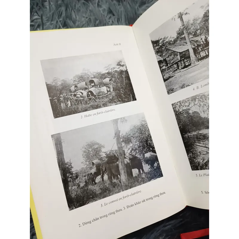 Rừng người Thượng (Henry Maitre) 662512