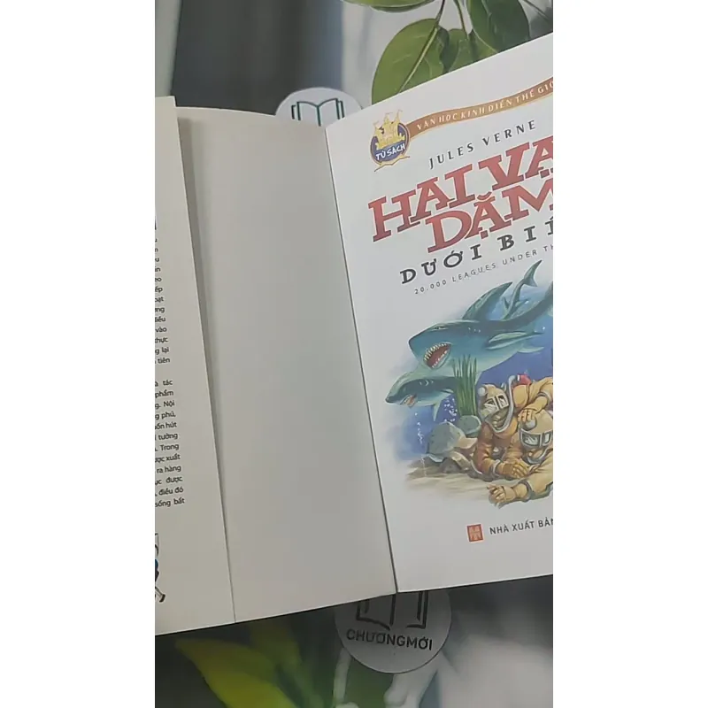 Hai vạn dặm dưới đáy biển - Jules Verne 688439
