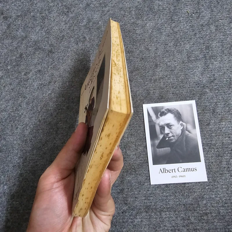 Truyện Kiều văn xuôi - Thích Nhất Hạnh 960796