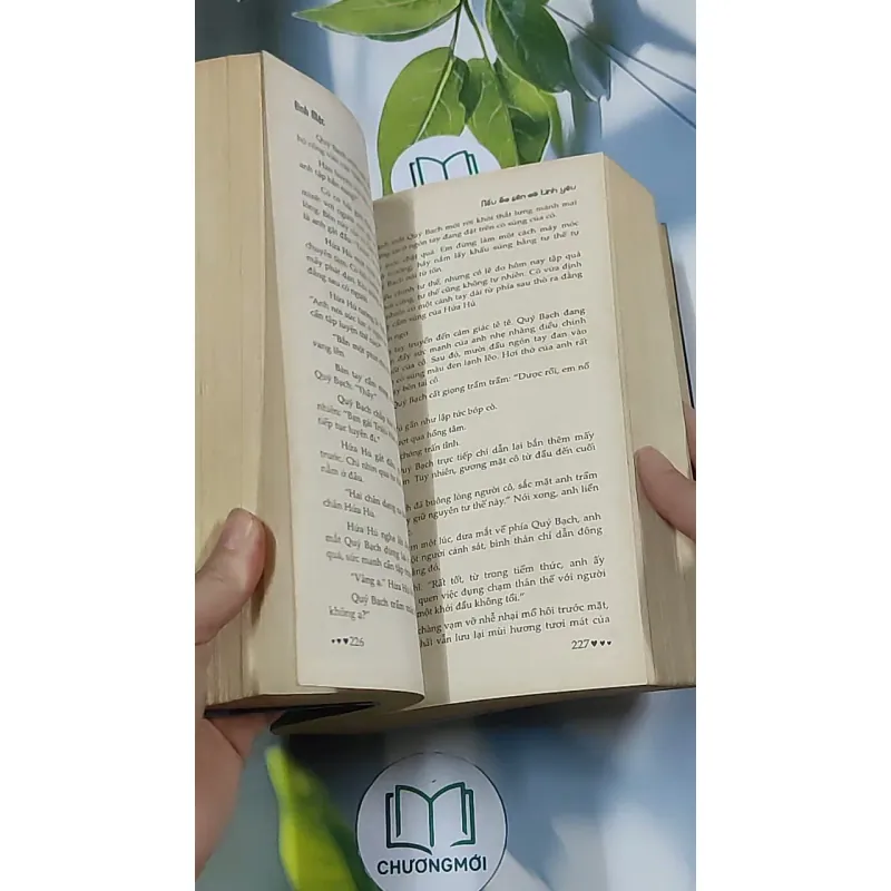 Nếu ốc sên có tình yêu - Đinh Mặc 688711