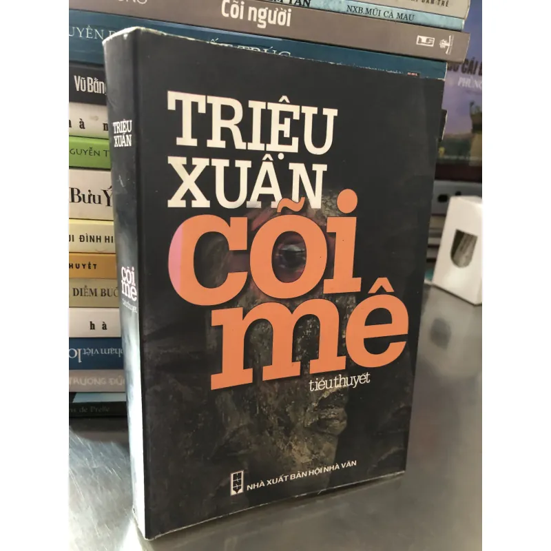 Cõi mê - Triệu Xuân  1002250