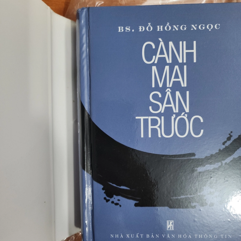 Sách Cành mai sân trước của BS Đỗ Hồng Ngọc mới 90% 531593