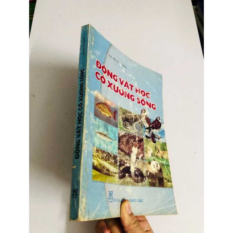 ĐỘNG VẬT HỌC CÓ XƯƠNG SỐNG 528062