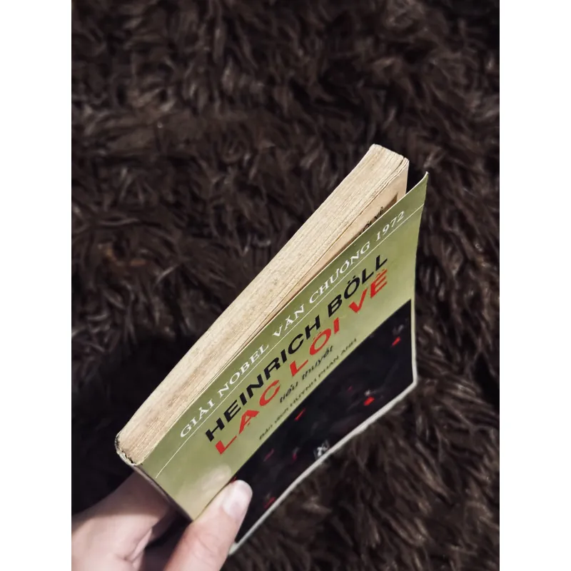 Lạc lối về 993365