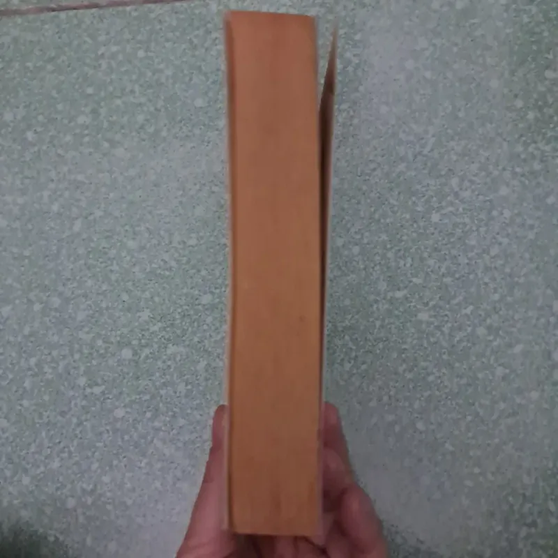 Jojo moyes after you 996784