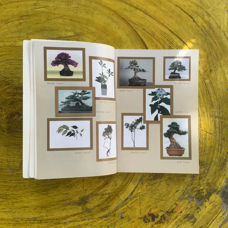 KIỆT TÁC BONSAI VIỆT NAM VÀ THẾ GIỚI- ĐỨC THÀNH biên soạn 1022452