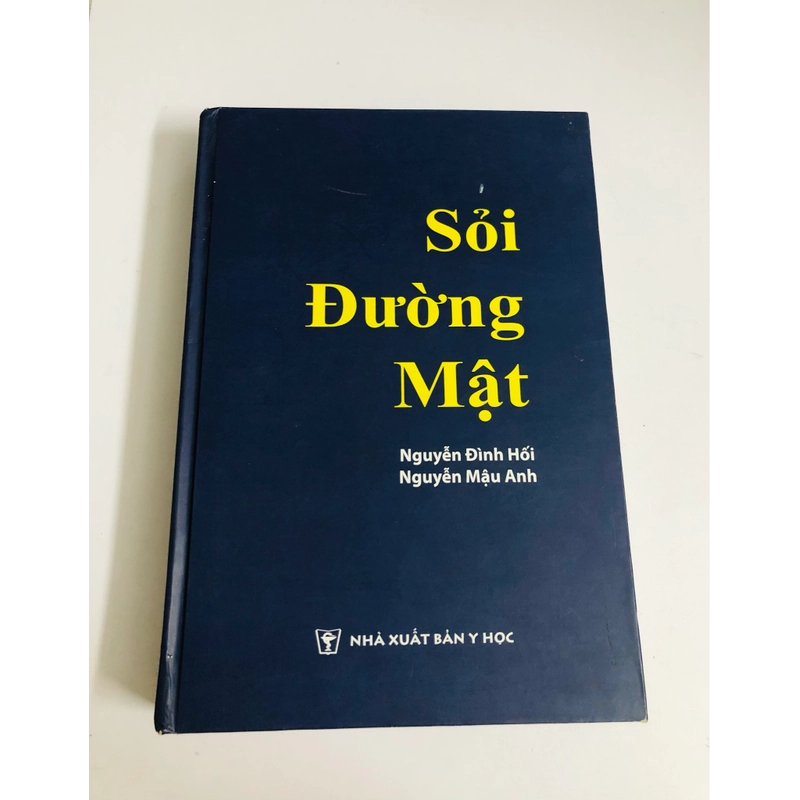 📚 SỎI ĐƯỜNG MẬT – Nguyễn Đình Hối, Nguyễn Mậu Anh 539457