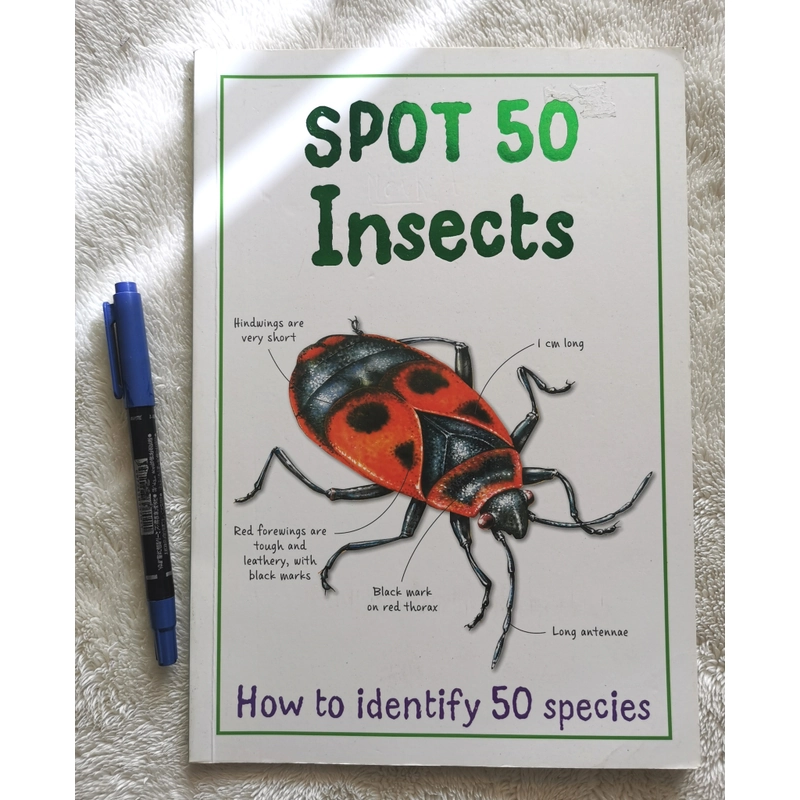 SPOT 50 INSECTS  405261