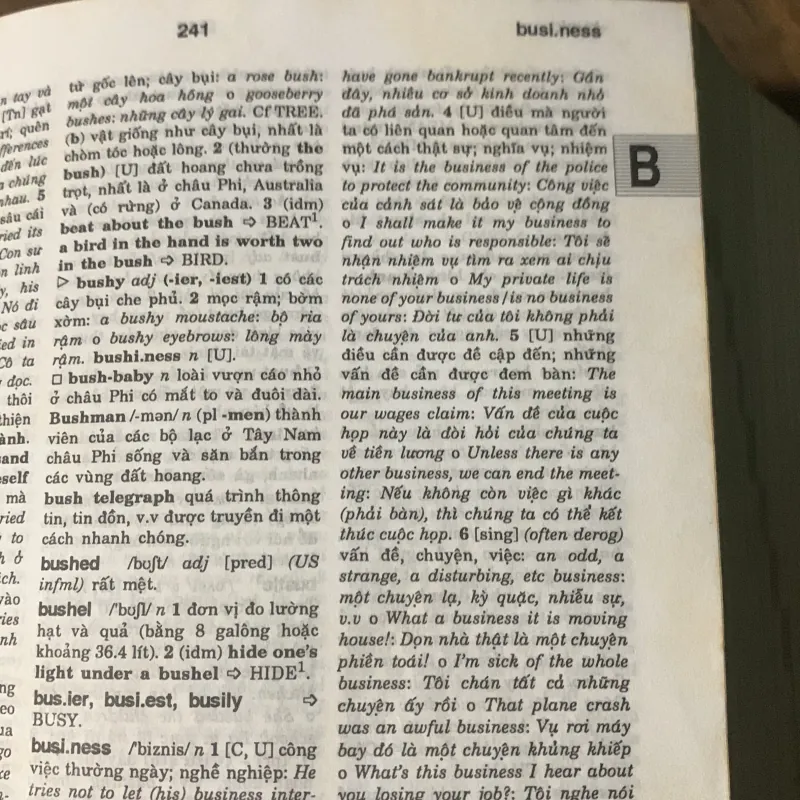 Từ điển Anh Việt, English-Vietnamese Dictionary, Viện Ngôn ngữ học  778511