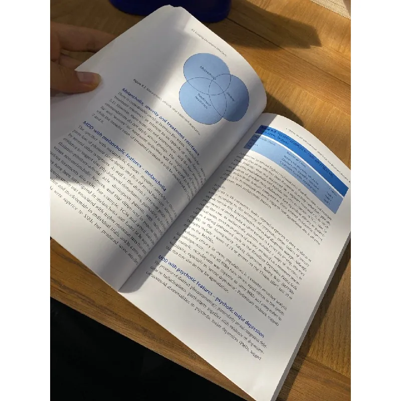 Treating Depression Effectively - Sidney H Kennedy 562614
