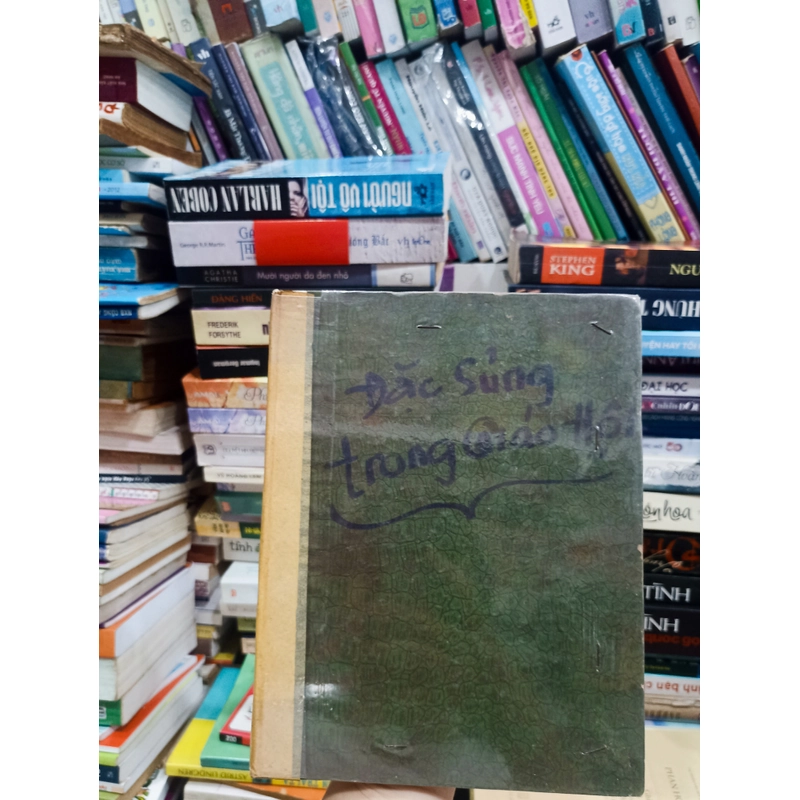 Đặc sủng trong Giáo Hội 🌻 521982