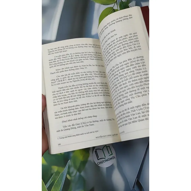 Đàng Trong Thời Chúa Nguyễn - Nguyễn Duy Chính 970274