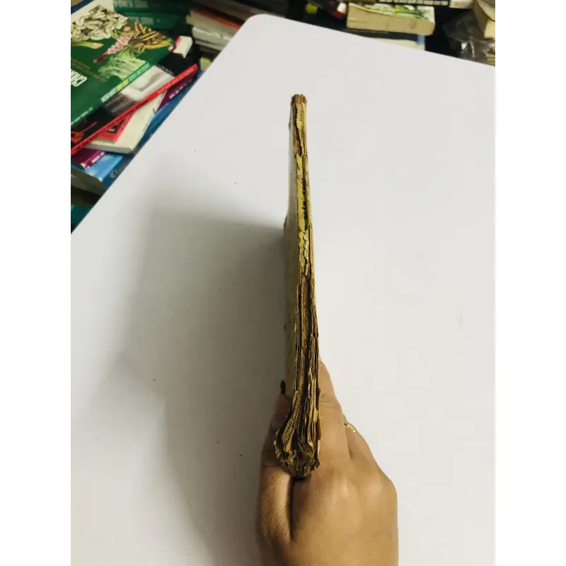 CUNG OÁN NGÂM KHÚC ( sách xưa) 795518