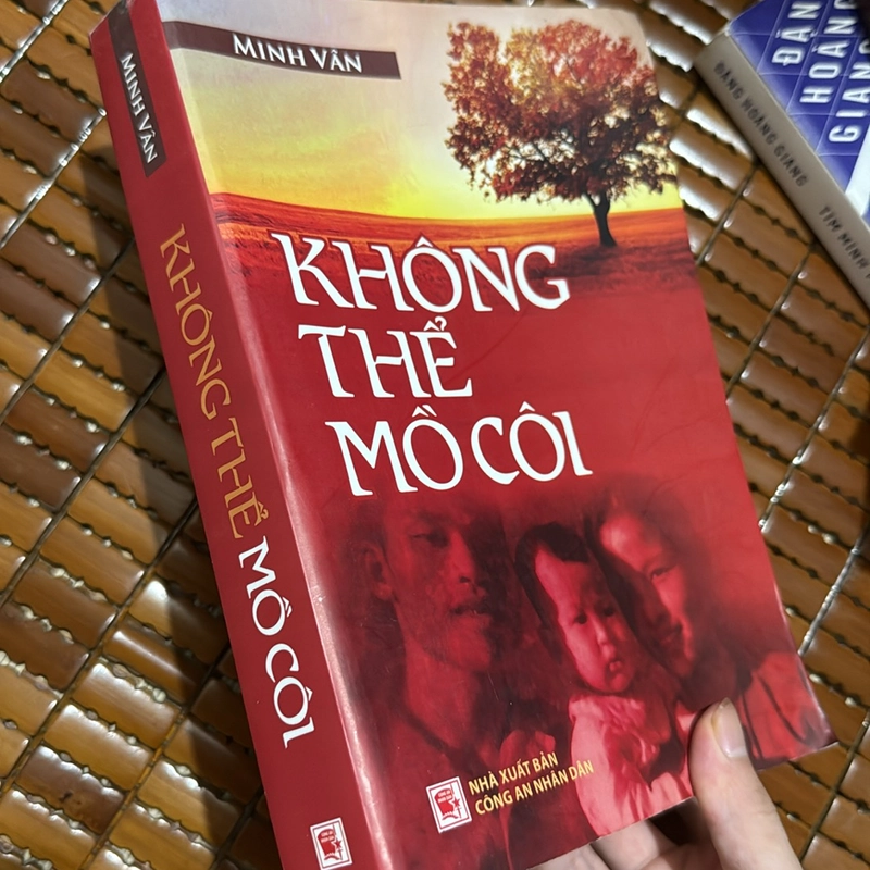 Không thể mồ côi - Minh Vân 504991
