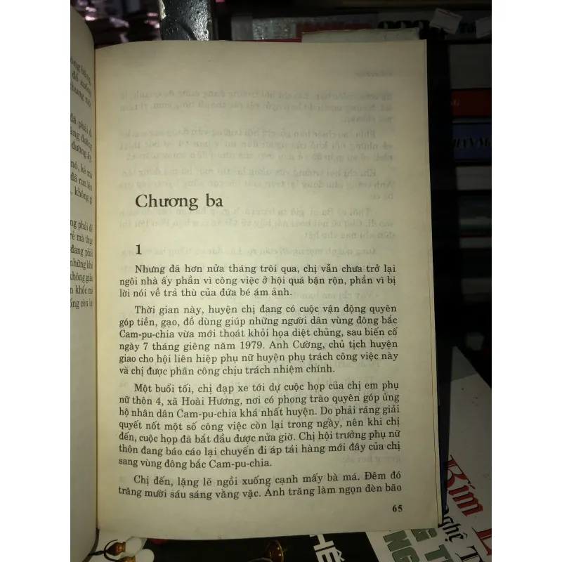 Chim én bay - Nguyễn Trí Huân 1001353