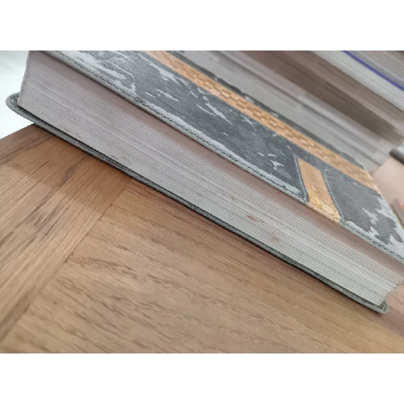 HOLY BIBLE : NEW INTERNATIONAL VERSION 137774