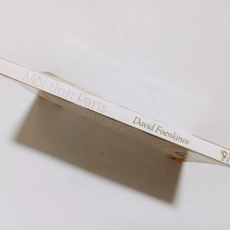 Mối Tình Paris - David Foenkinos 960415