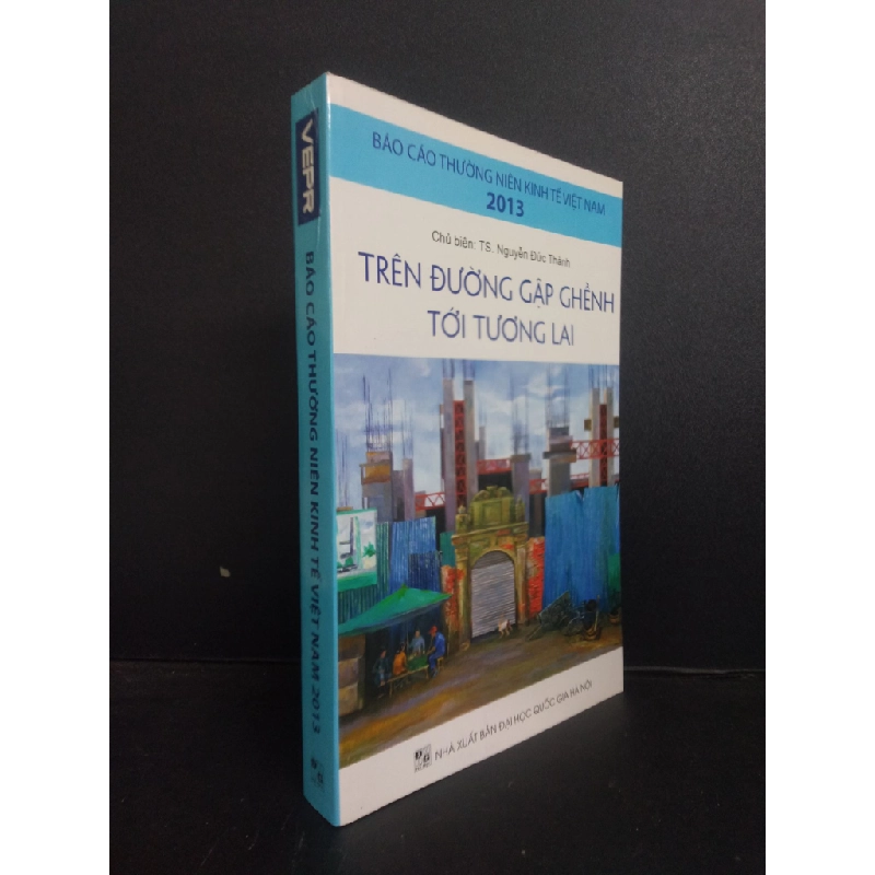 Báo cáo thường niên kinh tế Việt Nam 2013 TS. Nguyễn Đức Thành Mới 90% bẩn nhẹ HCM.SBM0309 82299