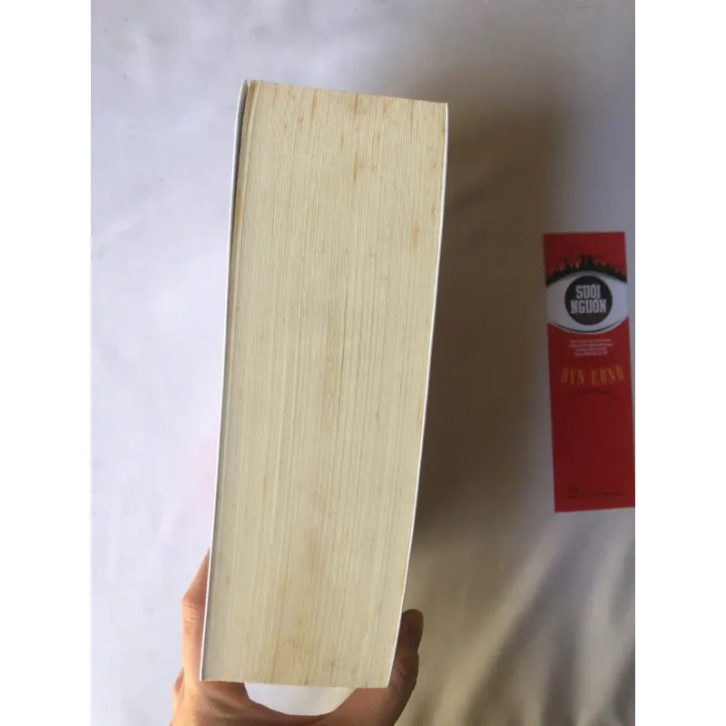 Suối Nguồn - Ayn Rand 782094