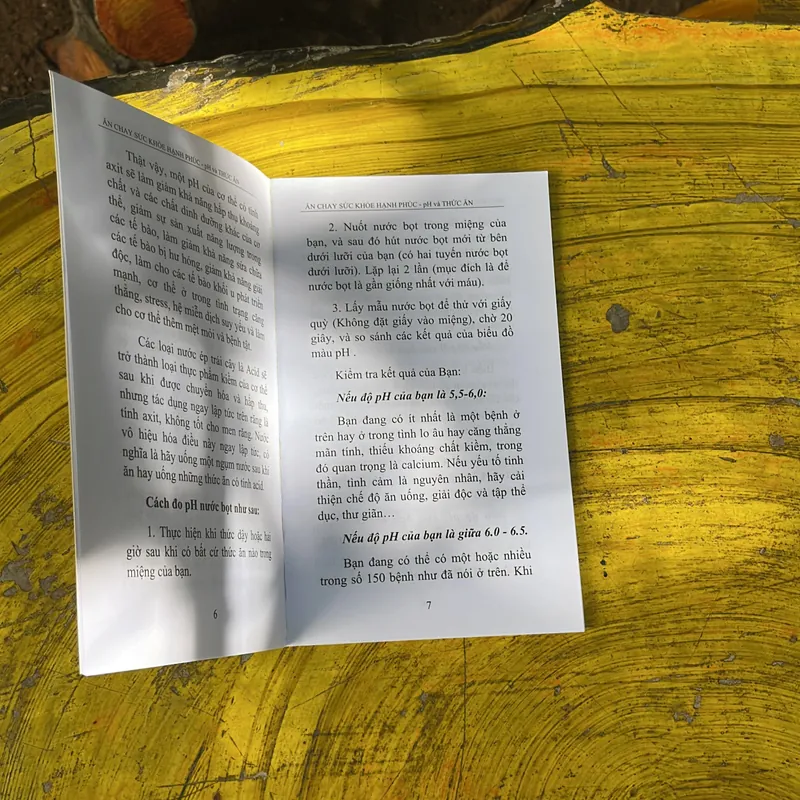  CHỮA UNG THƯ BẰNG DƯỠNG SINH- ĂN CHAY SỨC KHOẺ HẠNH PHÚC pH VÀ THỨC ĂN 718119