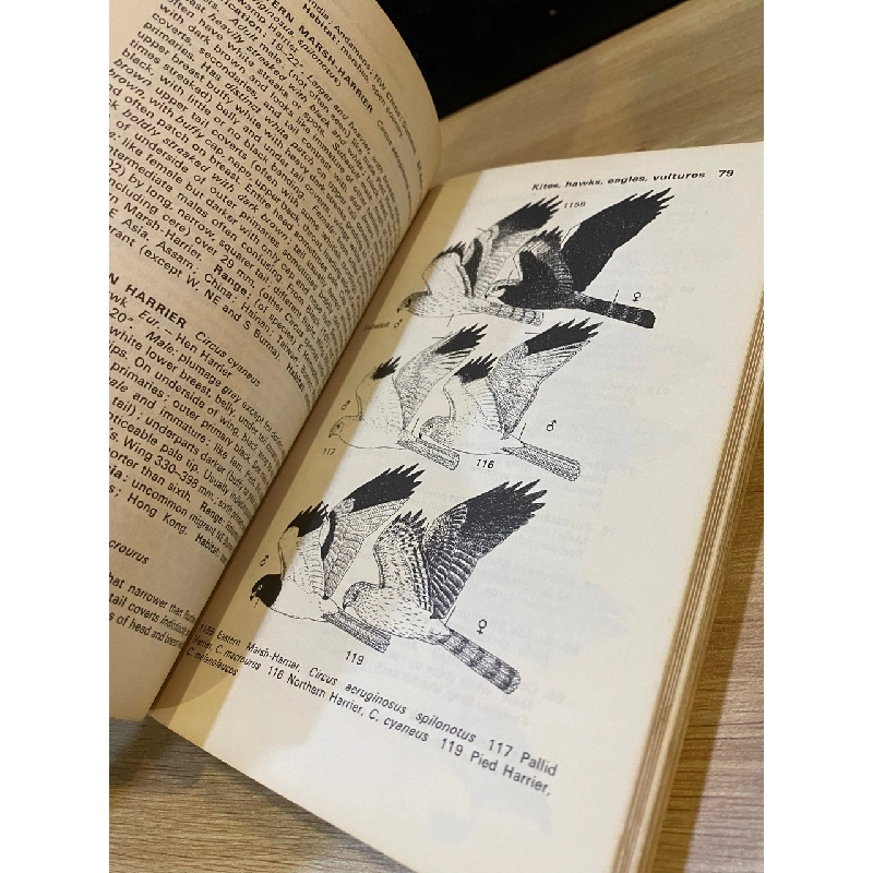 A Field Guide to the Birds of South-East Asia 533827