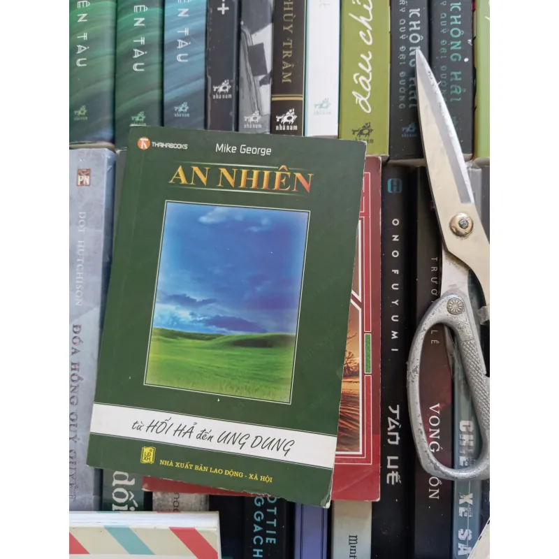 Giá trị nội tại _ An nhiên 993306