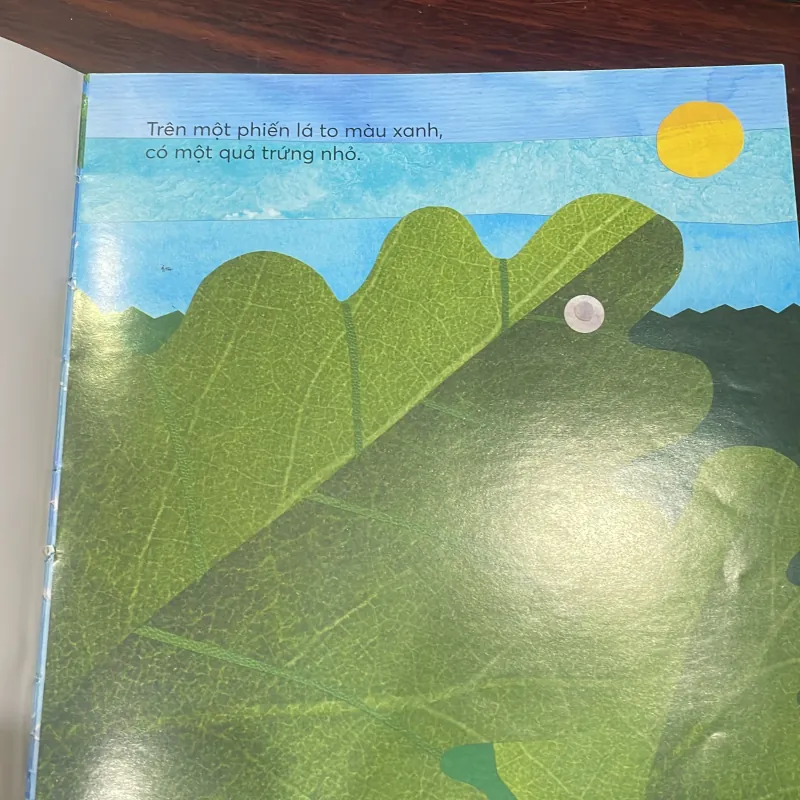 Mình phải chờ đến bao giờ ? Hộp háo hức - elliot Kreloff - sách song ngữ 2 mặt  1028143