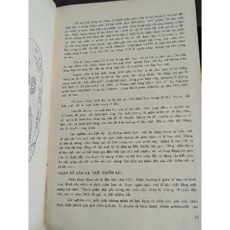 Di truyền học đại cương - N.P.Đubinin ( người dịch Trần Đình Miên và Phan Cự Nhân ) 713738