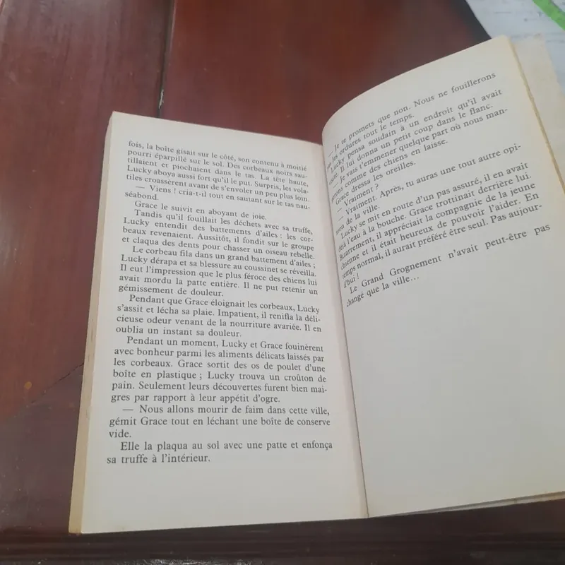 Erin Hunter - LA GUERRE DES CLANS 713251