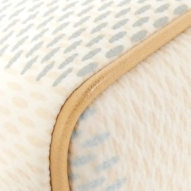 Túi xách Boston Louis Vuitton Damier Rishas Speedy Bandolier 20cm N40515 614523