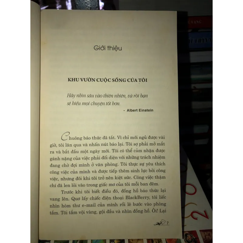 Cuộc sống có ý nghĩa bắt nguồn từ những hạt giống tự do - Heather Marie Wilson 778302