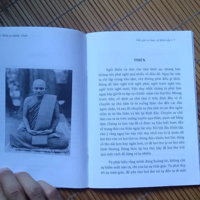 Dẫn giải sơ lược về Thiền tập - Thiền sư Ajahn Chah 558943