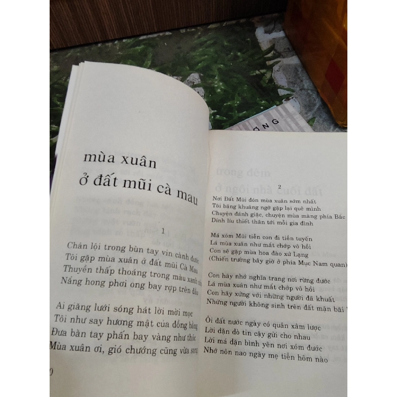 Từ những bờ hoa gió thổi về - Trần Nhật Thu 1028049