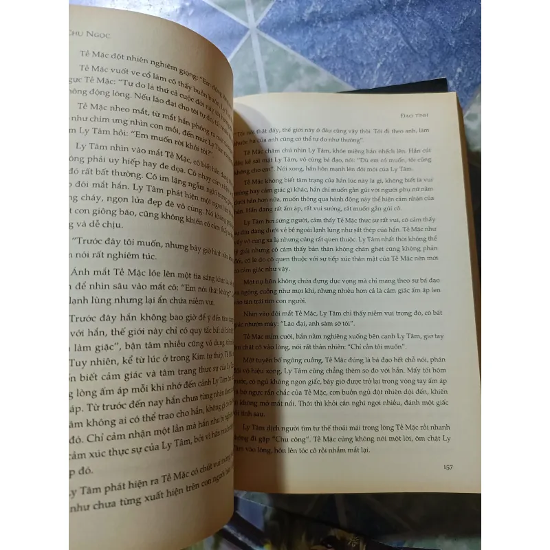 Đạo tình ( 2 tập) - Chu Ngọc 1008118